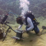 BUM underwater camera in action